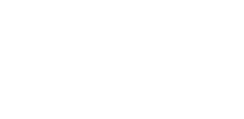 Carmot Strategies